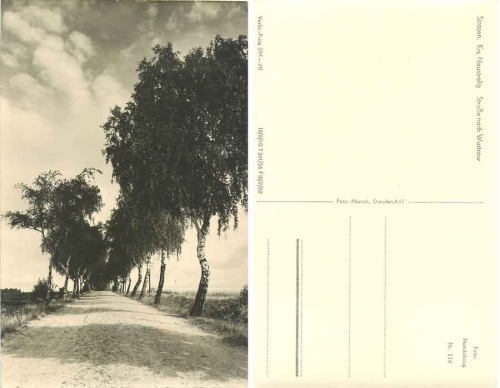 17255 Strasen Wesenberg Stasse nach Wustrow  *1956