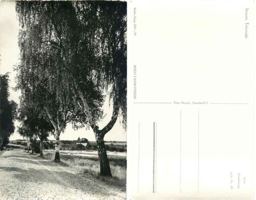 17255 Strasen Wesenberg Feldweg  *1962