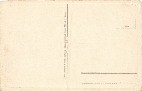 01737 Tharandt Sachsen Ansichtskarte * um 1930