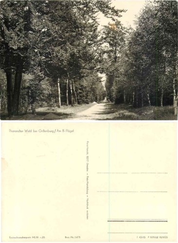 01737 Grillenburg Tharander Wald am B Fluegel *1965 Hanich1435