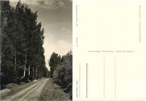 01737 Grillenburg Tharandter Wald am B-Flügel *1966 Hanich1437