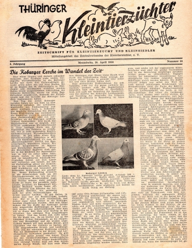 Thuringer Kleintierzuchter Fachmagazin Heft 10 1950 8 Seiten