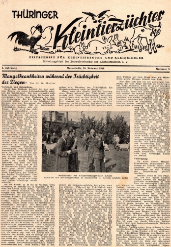 Thüringer Kleintierzüchter Fachmagazin Heft 5 1950 8 Seiten
