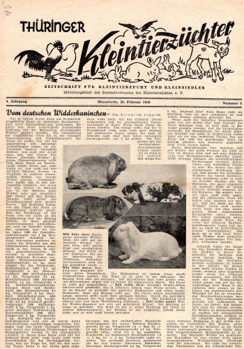 Thuringer Kleintierzuchter Fachmagazin Heft 6 1950 8 Seiten