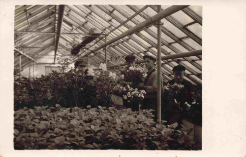 Torgau Elbe Market Garden/Greenhouse Real Photo Postcard 1928