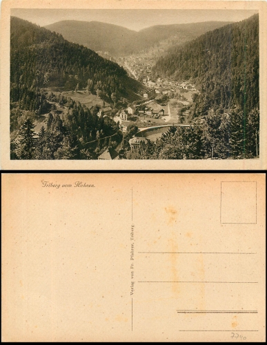 Triberg vom Hohnen  *ca. 1920