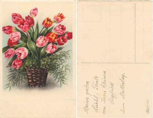 Tulpen in Weidenkorb gebr. ca. 1920
