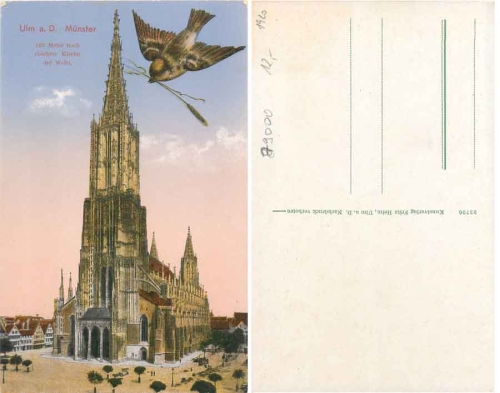 Ulm Munster Bird *ca.1920