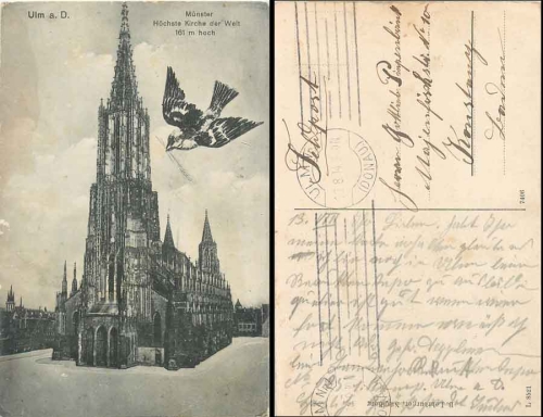Ulm Donau Münster with sparrow bird o 13.8.1914