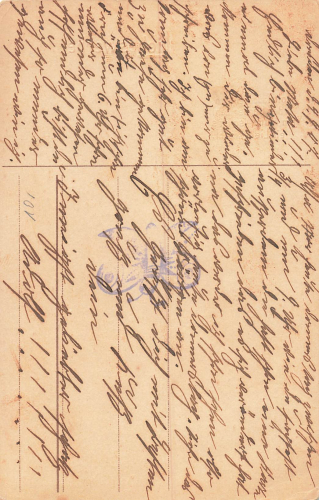 Voegel Mädchen füttert Tauben gebr. 04.09.1907