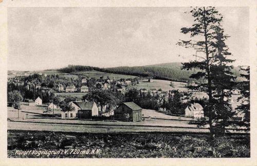 08209 Vogelsgrün Vogtland Totalansicht * um 1950