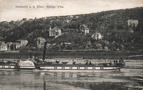 Wachwitz Dresden Royal Villa Elbe steamer "Austria" * around 1910
