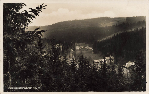 01773 Waldbaerenburg Erzgebirge Altenberg o 1933
