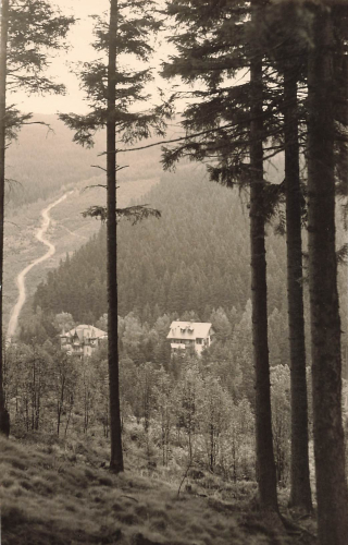 01773 Waldbaerenburg Erzgebirge Heuweg Altenberg o 1963
