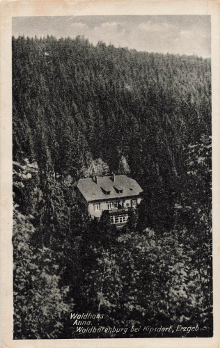 01773 Waldbaerenburg Erzgebirge Waldhaus Anna gebraucht 1953