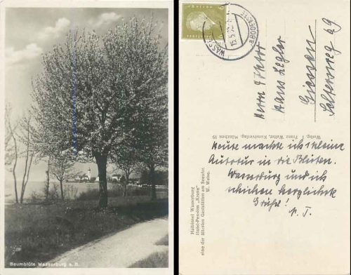 88142 Wasserburg Bodensee Baumblüte o 15.5.1932