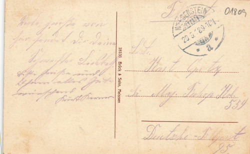 01809 Weesenstein Mueglitztal o 1918