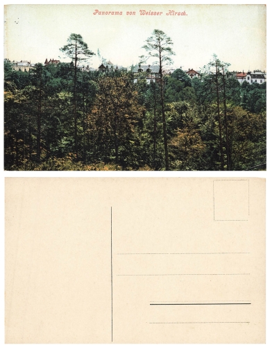 Weisser Hirsch Dresden Panorama Ansicht * um 1910