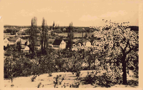 Werder Havel von der Wachtelburg alte Ansichtskarte * 1957