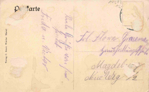 Werder Havel Totalansicht alte Ansichtskarte o um 1910