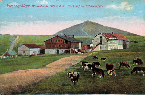 Wiesenbaude Riesengebirge Luční bouda * um 1910