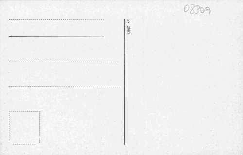 Wildenthal Eibenstock Erzgebirge Künstlerkarte * um 1920