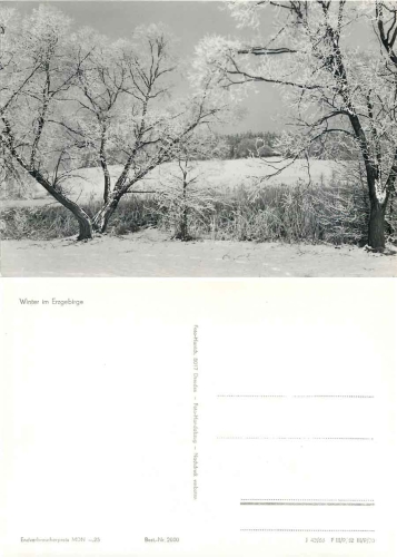 Ore Mountains in winter *1966 Hanich2000