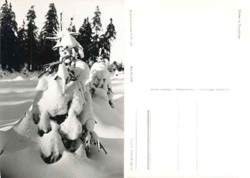 Winterwald im Erzgebirge *1966 Hanich1998