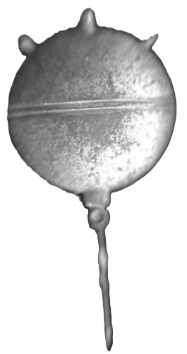 Winterhilfswerk WHW Reichsstraßensammlung Abzeichen Seemine