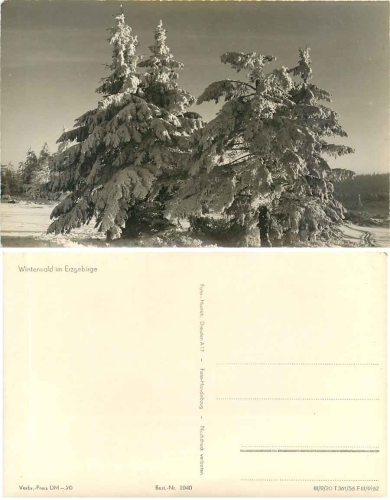 Winterwald im Erzgebirge *1956 Hanich1040