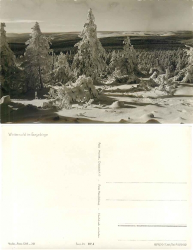 Winter forest in the Ore Mountains *1956 Hanich1034