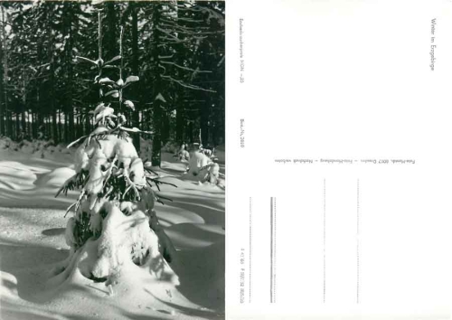 online shop for original old postcards (subject matter and topography) coins and postage stamps