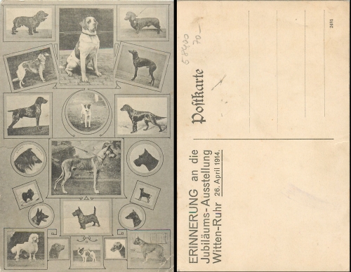 Witten-Ruhr pedigree dog anniversary exhibition April 26th, 2014
