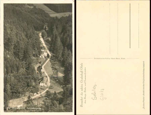 Wolfelsgrund Schneebergweg Grafschaft Glatz *ca. 1930