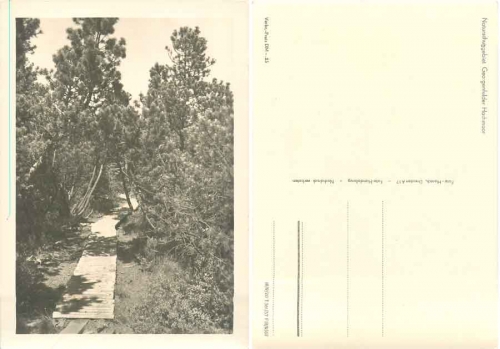 01773 Zinnwald Georgenfelder raised bog  *1957 Hanich oN