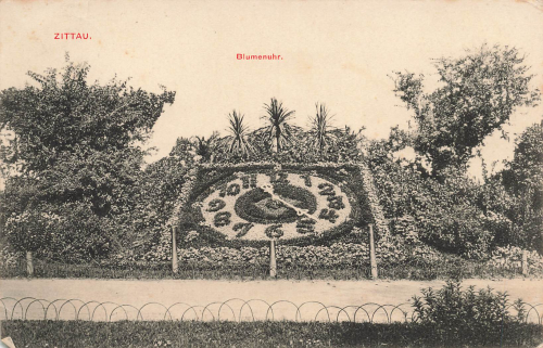 Zittau Sachsen Blumenuhr o 1912