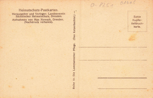 01665 Barnitz Diera-Zehren Sheep Farm * around 1920