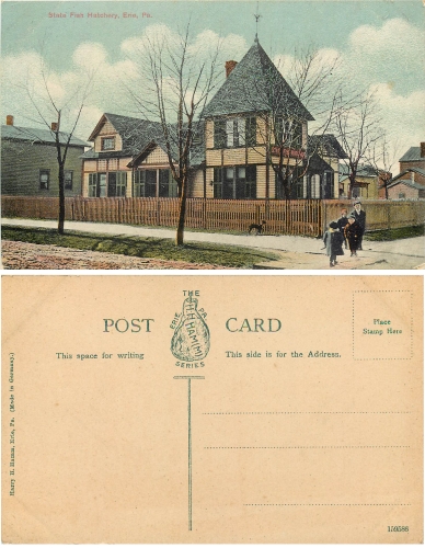 Erie State Fish Hatchery * ca.1920
