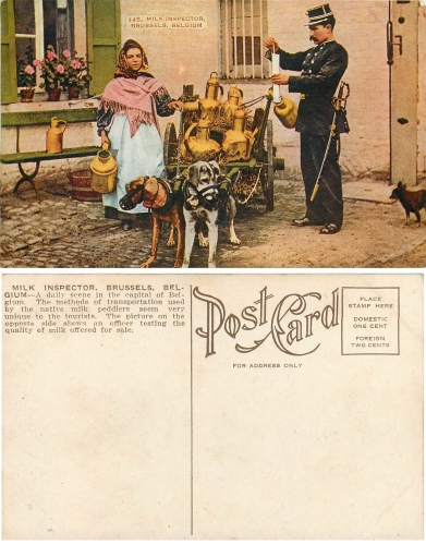 Milk Inspector Brussels dog cart * around 1910