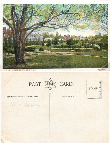 Ipswich the Arboretum *ca.1910