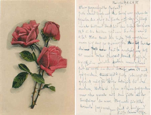 rote Rosen gebr. 2.4.1918