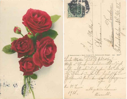 Bouquet with dark red roses o 3.6.1913