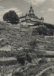 01445 Oberloessnitz Radebeul Spitzhaus * um 1950