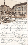 01454 Radeberg Hotel zur gruenen Tanne Litho o 1897