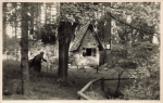 01737 Kurort Hartha Tharandt Hexenhaeusel o um 1955