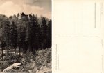 01773 Baerenstein Altenberg Schloss Erholungsheim NDPD  *1964 Hanich1331