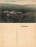 01816 Zwiesel Bad Berggiesshuebel Panorama * um 1920