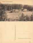 01816 Zwiesel Bad Berggiesshuebel * um 1920