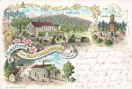 02739 Walddorf Gasthof zum Kottmarwald Litho o 1906