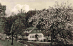 07639 Weißenborn Meuschkensmühle Mühltal o 1964